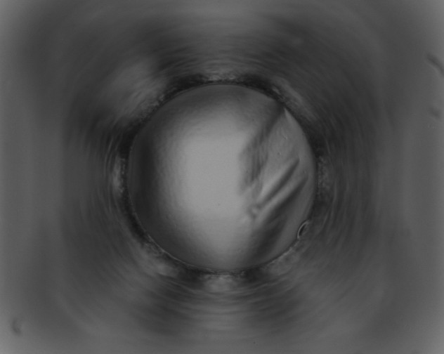 X0000093120074200710171255