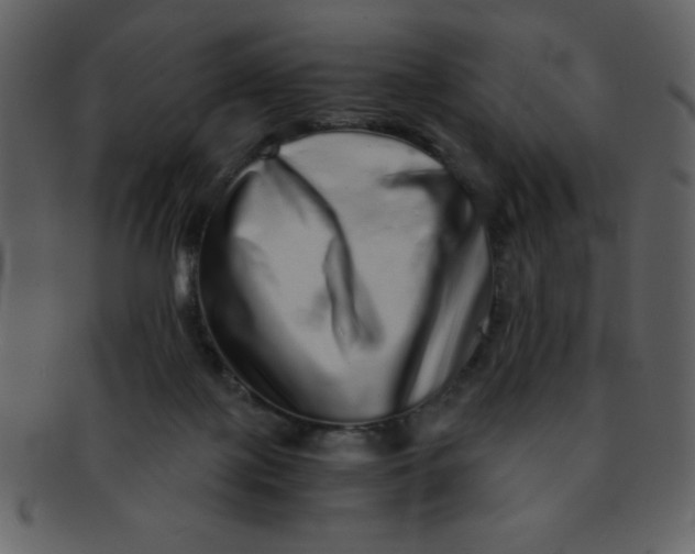 X0000093120075200710171255