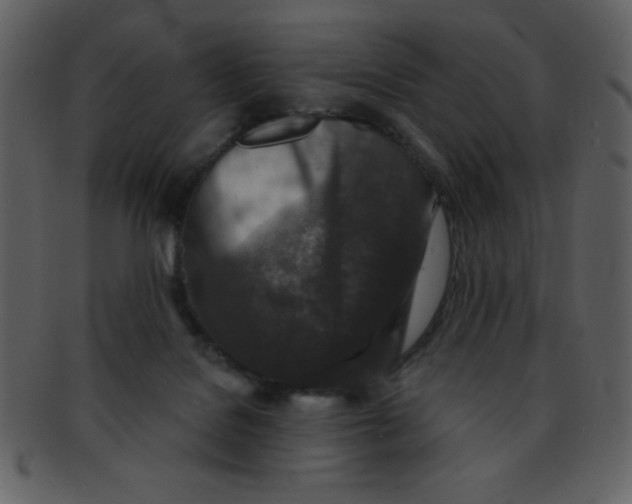 X0000093120076200710171255