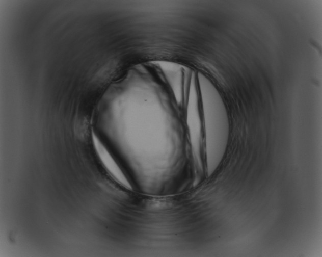 X0000093120077200710171255