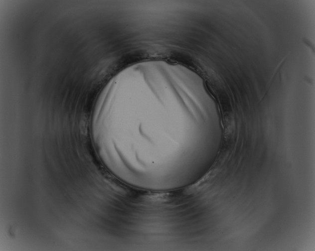 X0000093120078200710171255