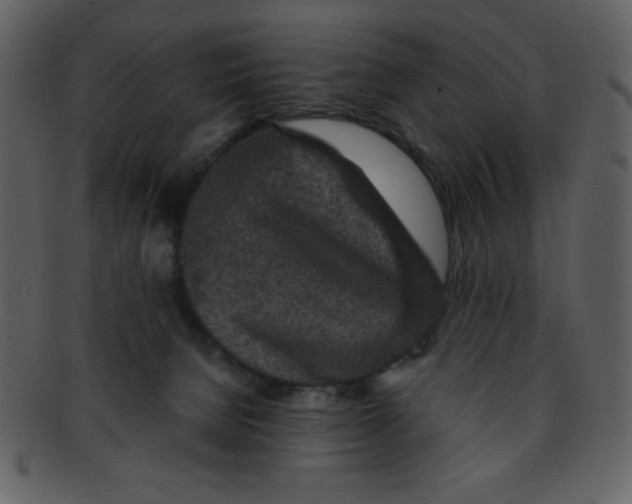 X0000093120080200710171255