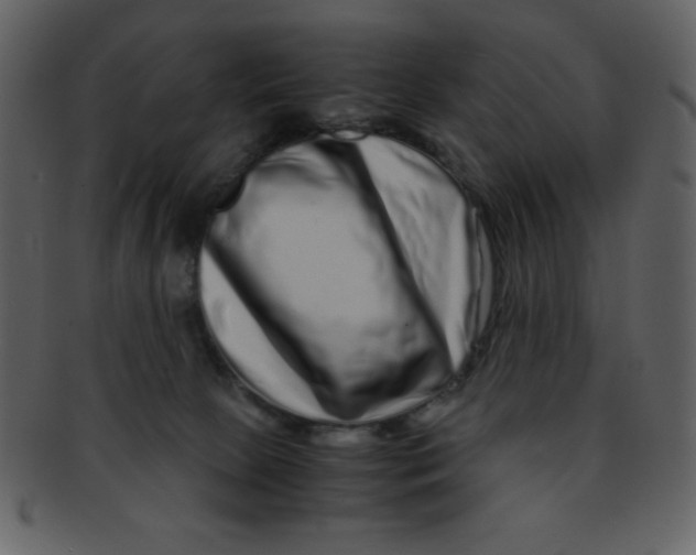 X0000093120081200710171255