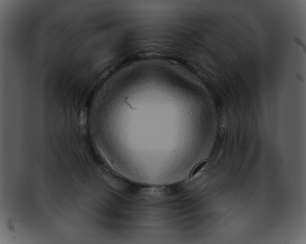 X0000093120082200710171255