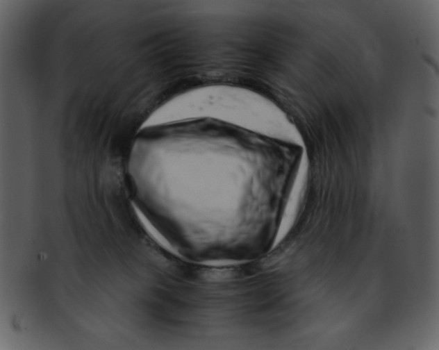 X0000093120085200710171255