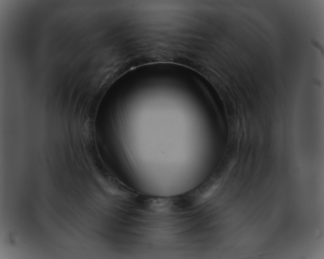 X0000093120088200710171255