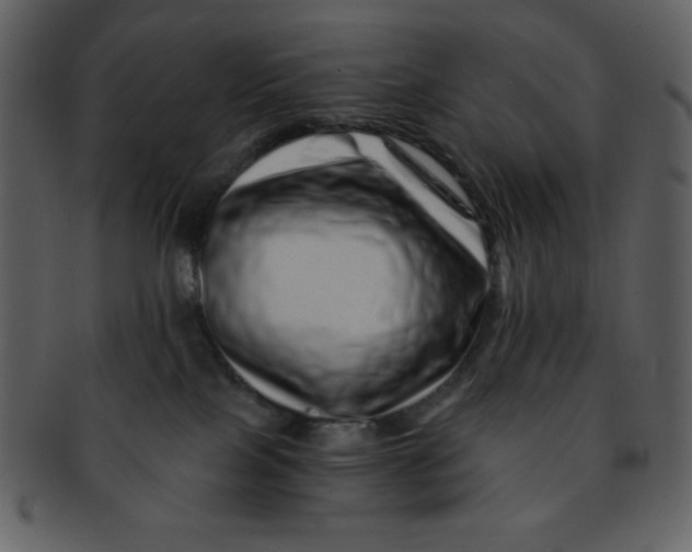 X0000093120089200710171255