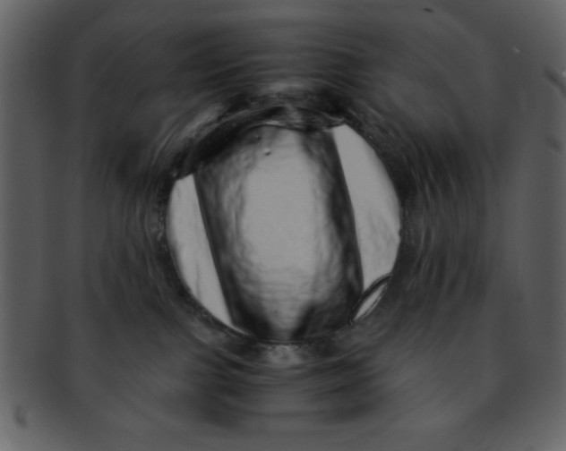 X0000093120091200710171255