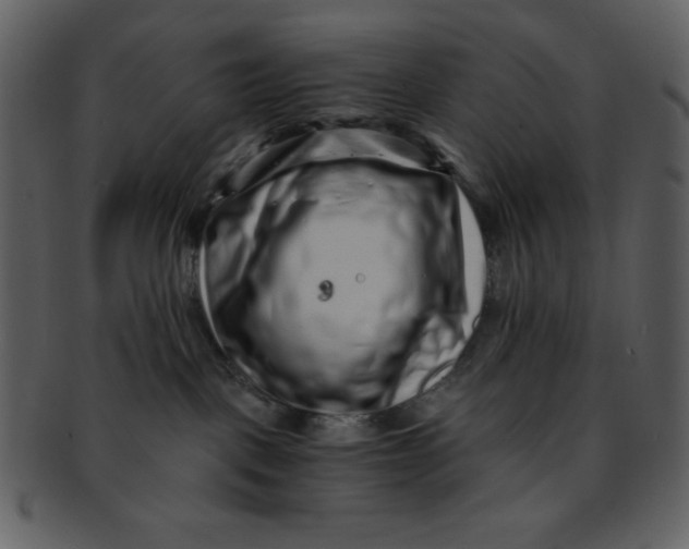 X0000093120093200710171255