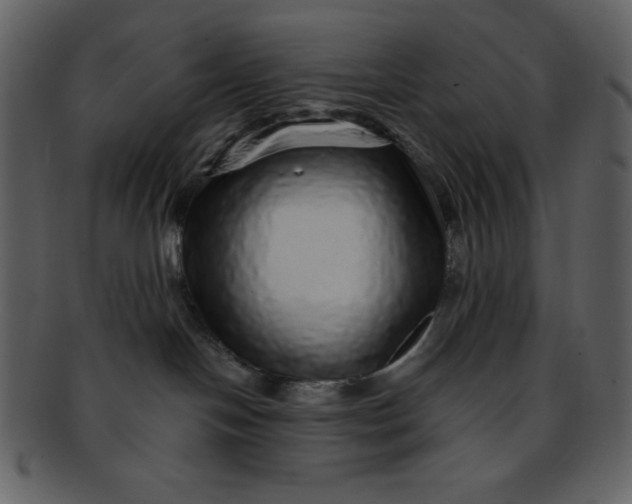 X0000093120094200710171255