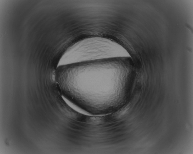 X0000093120095200710171255