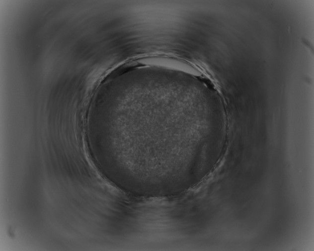 X0000093120097200710171254