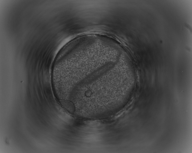 X0000093120100200710171254