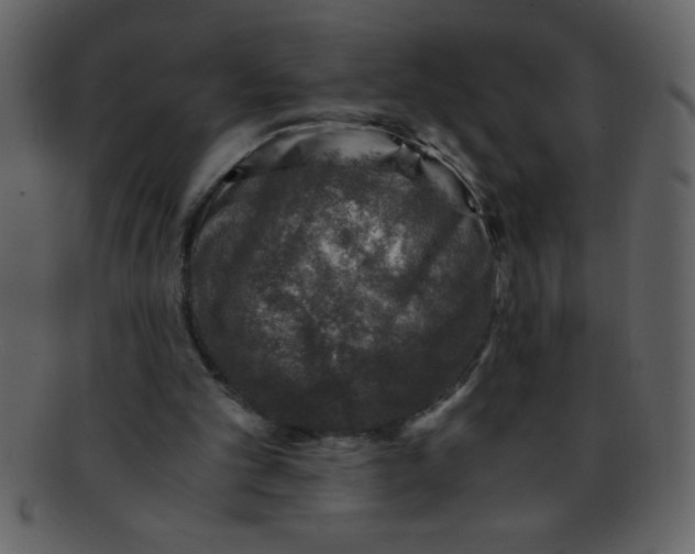 X0000093120101200710171254