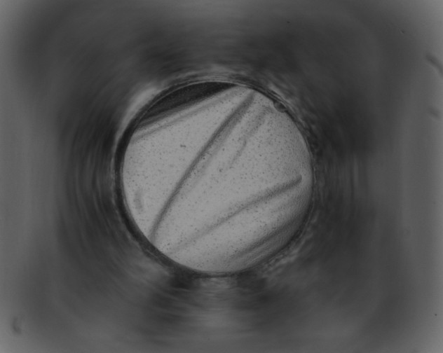 X0000093120102200710171254