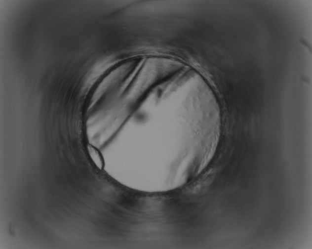 X0000093120103200710171254