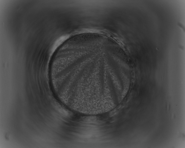 X0000093120104200710171254