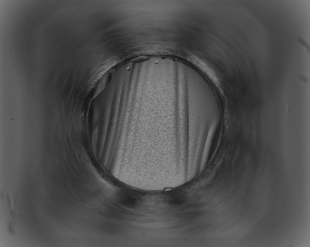 X0000093120105200710171254