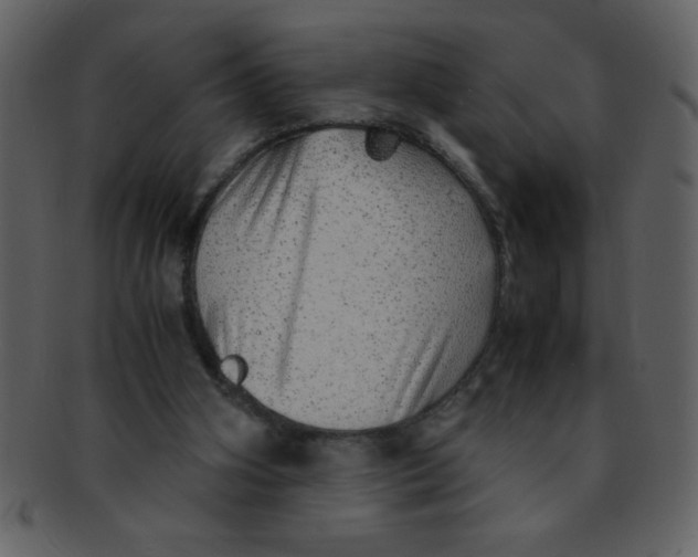 X0000093120106200710171254