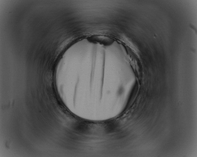 X0000093120107200710171254