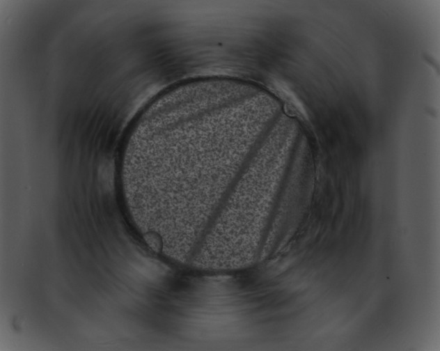 X0000093120108200710171254