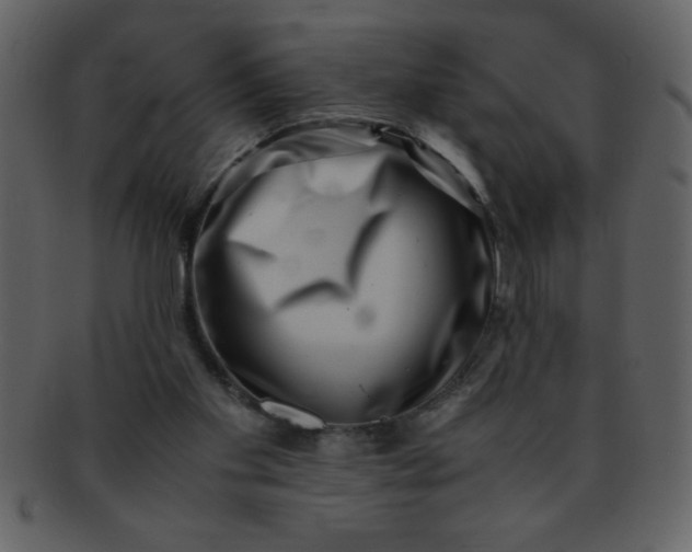 X0000093120109200710171254