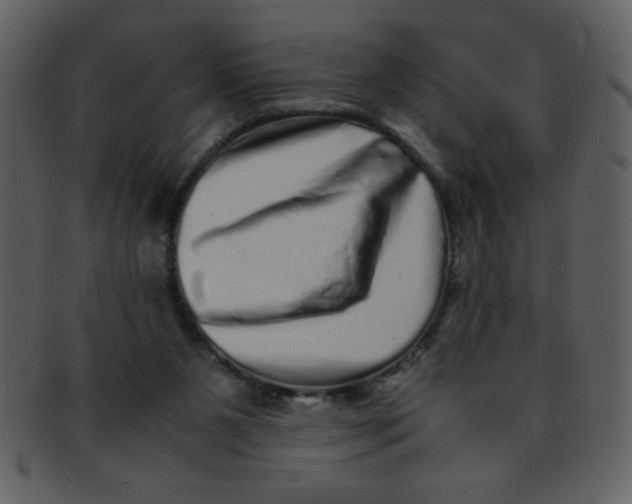 X0000093120111200710171254