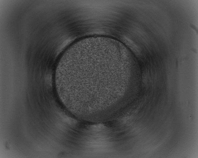 X0000093120112200710171254