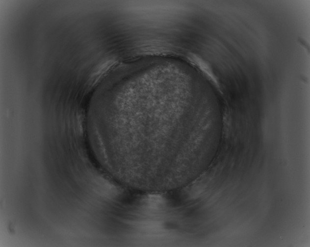 X0000093120114200710171254