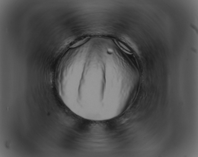 X0000093120115200710171254