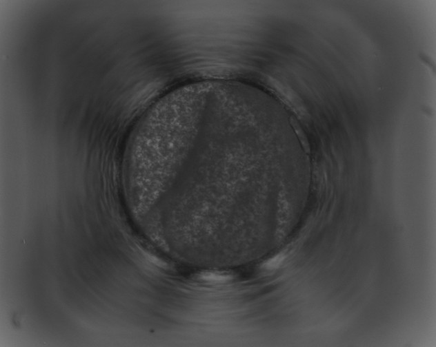 X0000093120117200710171254