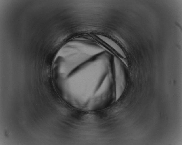 X0000093120119200710171254