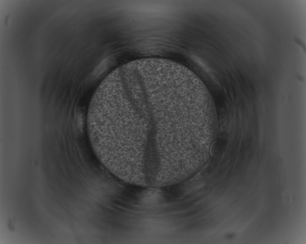 X0000093120124200710171254