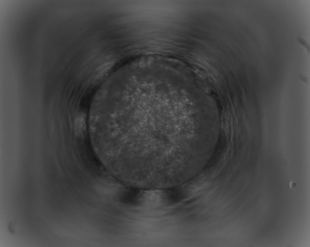 X0000093120127200710171254