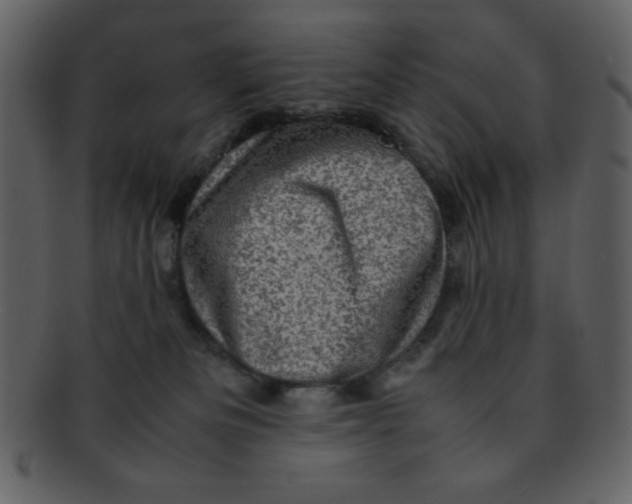 X0000093120133200710171254