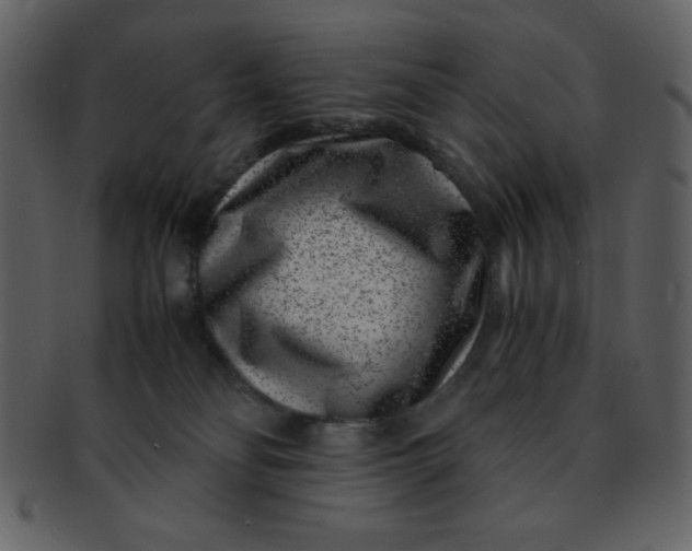 X0000093120134200710171254