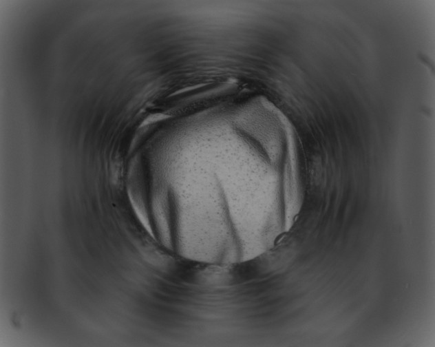 X0000093120138200710171254