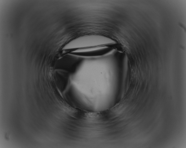 X0000093120141200710171254