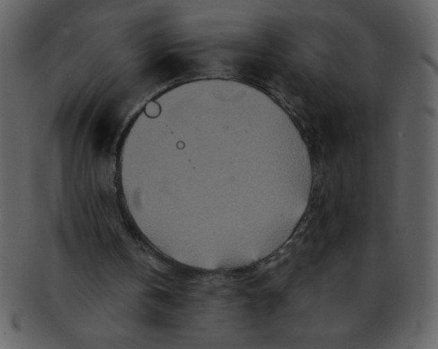 X0000093120146200710171253