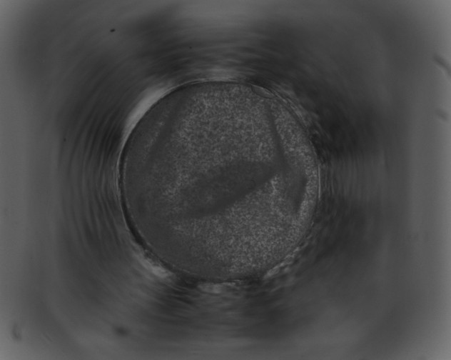 X0000093120147200710171253