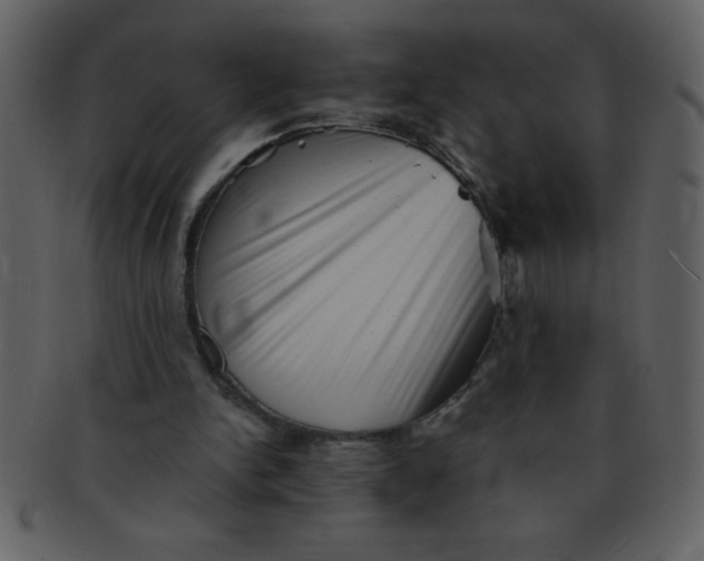 X0000093120150200710171253