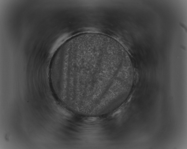 X0000093120151200710171253