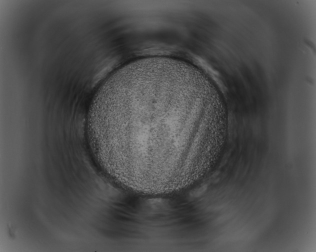 X0000093120153200710171253