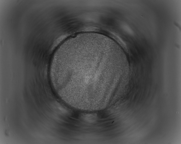 X0000093120155200710171253