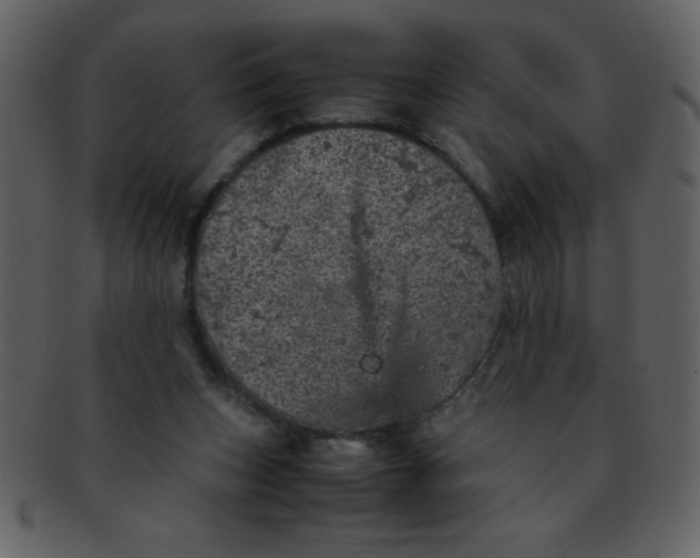 X0000093120159200710171253