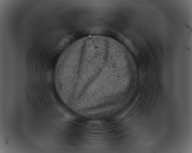 X0000093120161200710171253