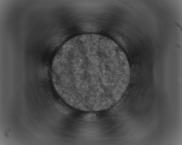 X0000093120162200710171253