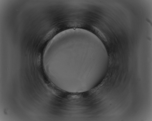 X0000093120163200710171253