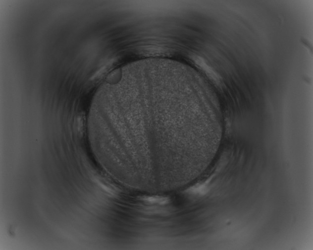 X0000093120165200710171253