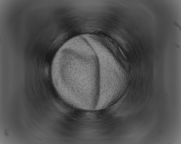 X0000093120166200710171253